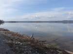 Ammersee bei Wartaweil am Ostufer (12.04.2015)