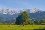 Wiese und Berge bei Garmisch-Partenkirchen.