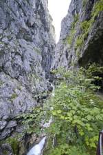 Das Höllental ist ein Tal im Zugspitz-Massiv des Wettersteingebirges durch das der Hammersbach fließt und durch das eine bekannte Aufstiegsroute von Hammersbach zur Zugspitze verläuft. Aufnahme: August 2008.