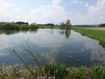 Kleiner See bei Thumsenreuth im Steinwaldgebiet, Oberpfalz (22.04.2018)