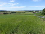 Wiesen bei Waldthurn im Oberpfälzer Landkreis Neustadt an der Waldnaab (20.05.2018)