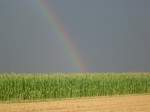 Regenbogen ber einem Maisfeld.