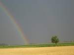 Regenbogen nach einem Gewitter. Eigentlich sind es zwei knnt ihr es sehen?