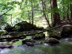 Bild vom Hllbach bei Falkenstein