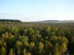 Blick vom Aussichtsturm im Schwarzen Moor, September 2008