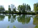 Spiegelungen im Langerringer Baggersee
