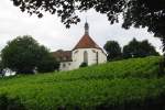 Vogelsburg bei Escherndorf / Volkach am 8.8.2010