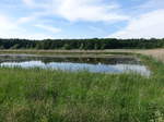 Kleiner See bei Obervolkach im Lkr.