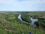 Aussicht auf den Main vom Vogelsberg, Unterfranken (28.05.2017)