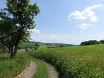 Feldweg im Thulbatal bei Gerode in Unterfranken (27.05.2018)