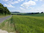 Aussicht auf den Riedberg (372 M) und die Ortschaft Aschenroth in Kreis Main-Spessart  (26.05.2018)