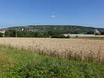 Aussicht auf den Geisslesberg und Wiedenberg bei Hammelburg, Rhön (07.07.2018)