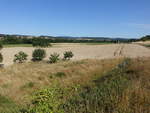 Getreidefelder bei Burglauer in Unterfranken (08.07.2018)