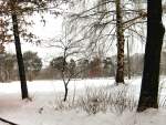 Winter in der Wuhlheide,  2006