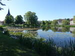 Dorfteich in Sch�nfeld, Lkr. Barnim (25.05.2026)