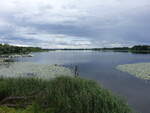 Hohennauener-Ferchesarer See bei Hohennauen, Havelland (07.07.2025)