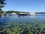 Schwedtsee bei F�rstenberg/Havel, Oberhavel (27.05.2026)