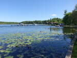 Schwedtsee bei F�rstenberg/Havel (27.05.2026)