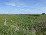 Wiesen bei R�nnebeck, Lkr.