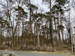 Waldanlage an der Seestraße in Bad Saarow im Landkreis Oder-Spree im Land Brandenburg am 04. März 2022.