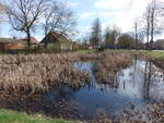 Dorfteich in Hohenwalde bei Frankfurt/Oder (05.04.2026)