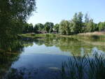 Dorfteich in Tempelberg, Lkr. Oder-Spree (23.05.2026)