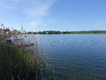 Wutzsee bei Lindow/Mark, Landkreis Ostprignitz-Ruppin (28.05.2026)