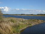 Elbe bei Hinzdorf, Lkr. Prignitz (10.10.2026)