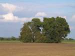 Blick zu einem Teich ber ein Feld am Weg nach Neu Premslin; August 2008