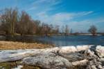 Die letzten Eisschollen an der Oder. Feb. 2013 bei Hohensaaten.
