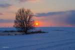 Sonnenuntergang im Oderbruch bei Bad Freienwalde.