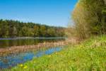 Sommer 2013 in MOL bei Bad Freienwalde