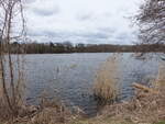 Schwarzer See bei Falkenhagen/Mark, Lkr. Märkisch-Oderland (05.04.2026)