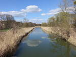 Alte Oder bei Schiffm�hle, M�rkisch-Oderland (08.04.2026)
