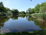 Dorfteich in Ihlow, M�rkisch-Oderland (23.05.2026)