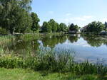 Dorfteich in Bollersdorf, M�rkisch-Oderland (23.05.2026)