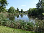 Dorfteich in Pritzhagen, M�rkisch-Oderland (23.05.2026)