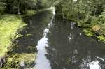 Neuer Kanal im Spreewald.