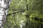 Der Kumrodna Kanal bei Wotschofska im Spreewald. Aufnahme: April 2006.