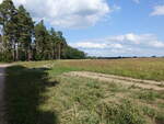 Kiefernwald und Felder bei Schenkendorf, Niederlausitz (08.09.2025)