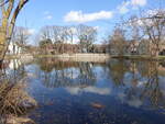 Dorfteich in Schmögelsdorf, Lkr. Potsdam-Mittelmark (11.03.2026)