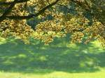 Sommerstimmung in einem Berliner Park (Bellevuepark, Kpenick).