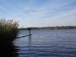 Blick vom Rande des Grunewalds in Hhe Am Postfenn ber die Havel (31.10.13)