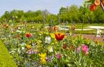 Blumenpracht im Charlottenburger Schlossgarten in Berlin.