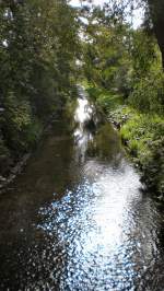 Die Panke in Berlin - Landschaft im Grnen, Herbst 2007