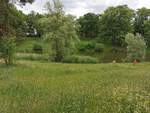 Blick auf den See Blanke Helle im Park am Alboinplatz. Aufgenommen am 10.06.2020.