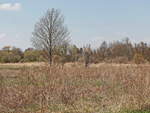 Blick auf das Gelände bzw. der Landschaft vom Wulzenplan in Zossen am 28. April 2021.