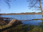 Bauernsee bei Dobbrikow, Teltow-Fläming (12.03.2026)