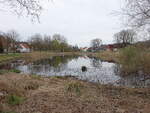Dorfteich in Hohenreinkendorf, Uckermark (10.04.2026)