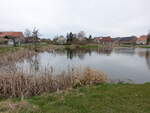 Dorfteich in Hohenselchow, Uckermark (10.04.2026)